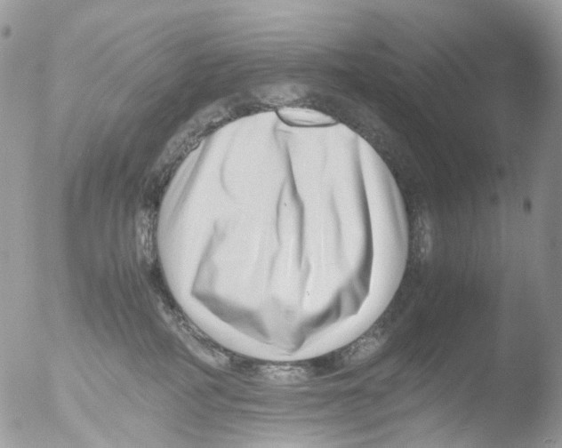 X0000051250234200507152157
