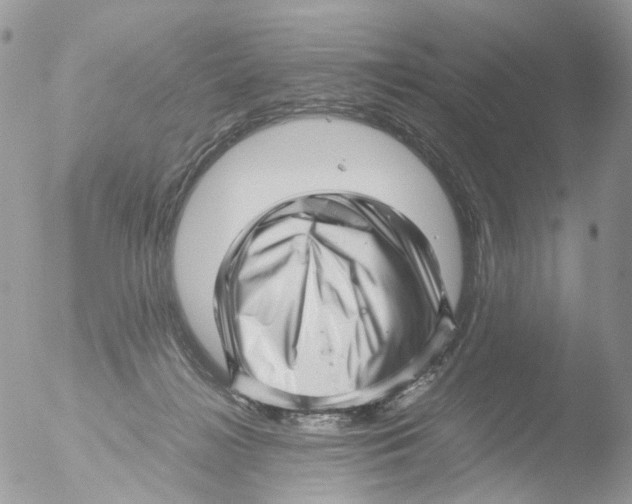 X0000051250268200507152157