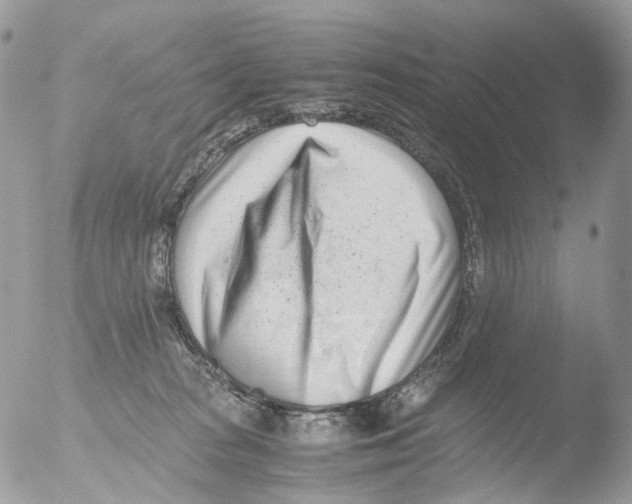 X0000051250277200507152157
