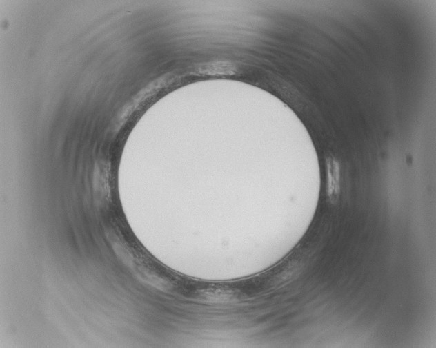 X0000051250300200507152156