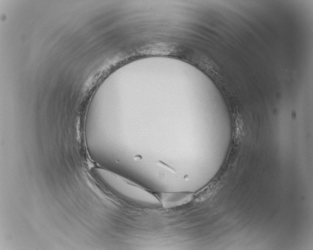 X0000051250302200507152156