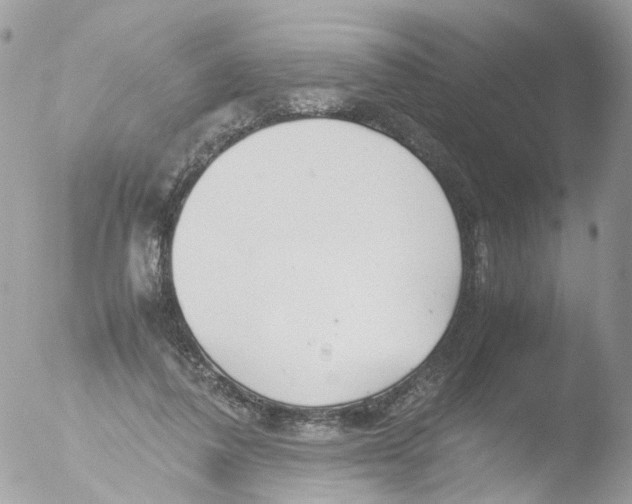 X0000051250308200507152156