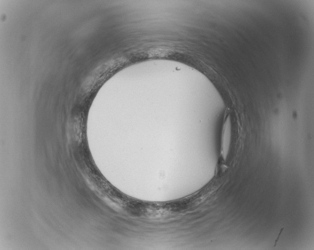 X0000051250311200507152156