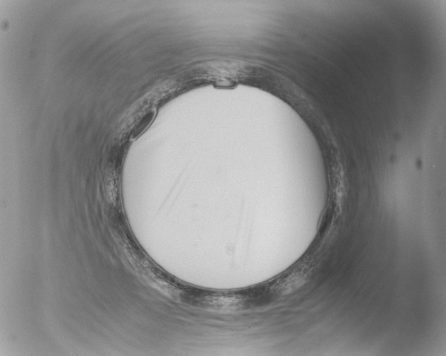 X0000051250313200507152156