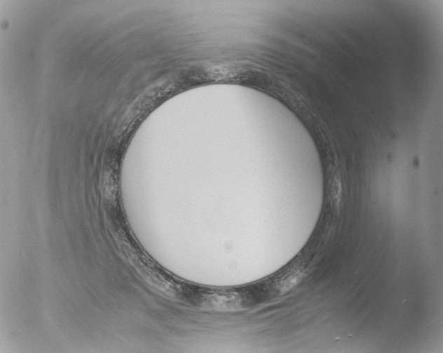 X0000051250317200507152156