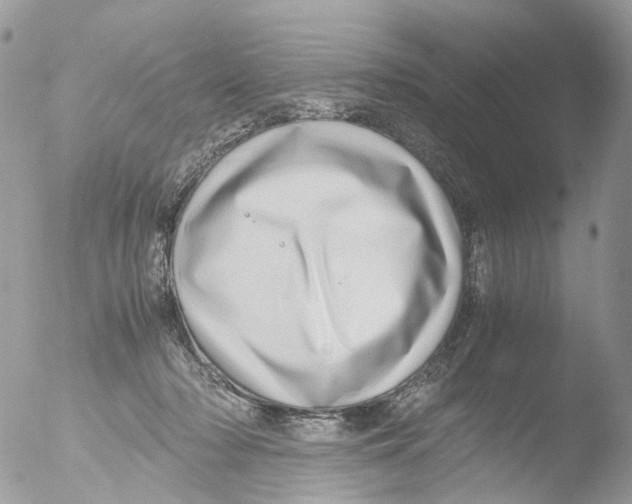 X0000051250318200507152156