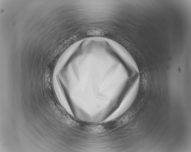 X0000051250322200507152156