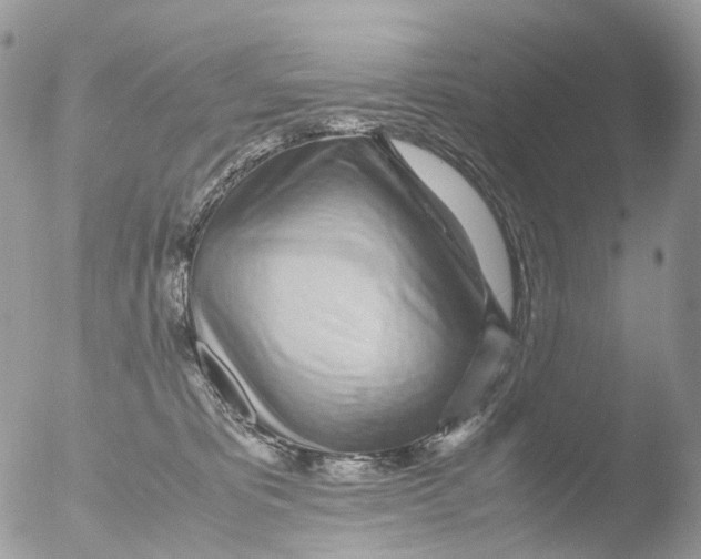 X0000051250325200507152156