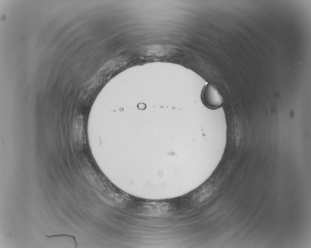 X0000051250328200507152156