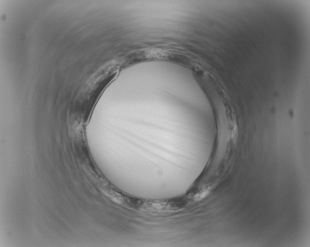 X0000051250329200507152156