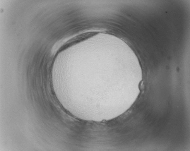 X0000051250337200507152155