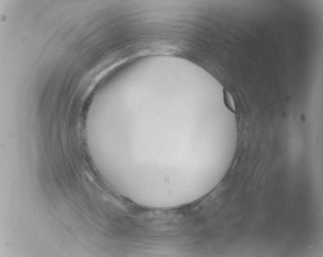 X0000051250338200507152155