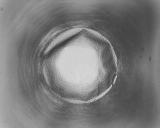 X0000051250339200507152155