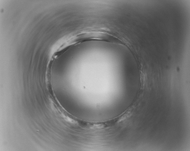 X0000051250340200507152155