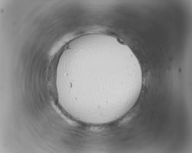 X0000051250341200507152155