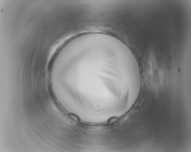 X0000051250342200507152155