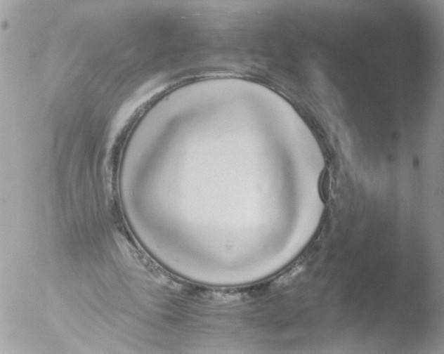 X0000051250343200507152155