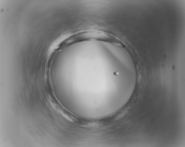 X0000051250344200507152155