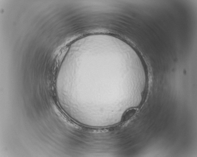 X0000051250345200507152155