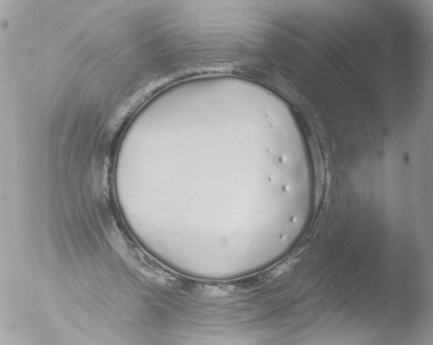 X0000051250346200507152155