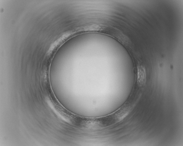 X0000051250348200507152155