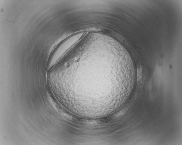 X0000051250349200507152155