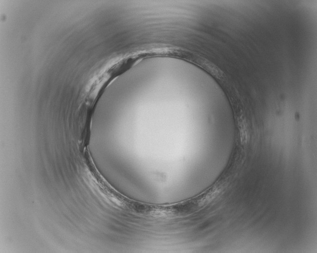 X0000051250350200507152155