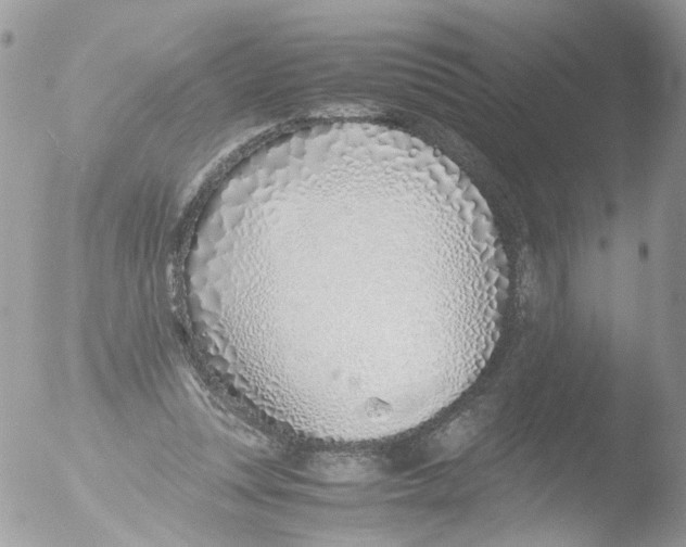 X0000051250351200507152155