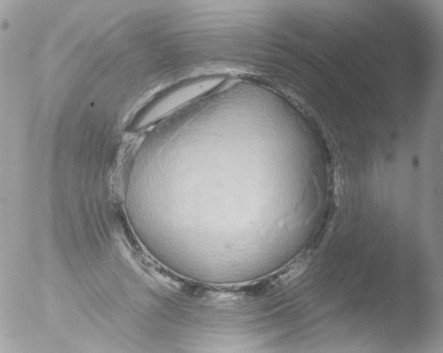 X0000051250352200507152155