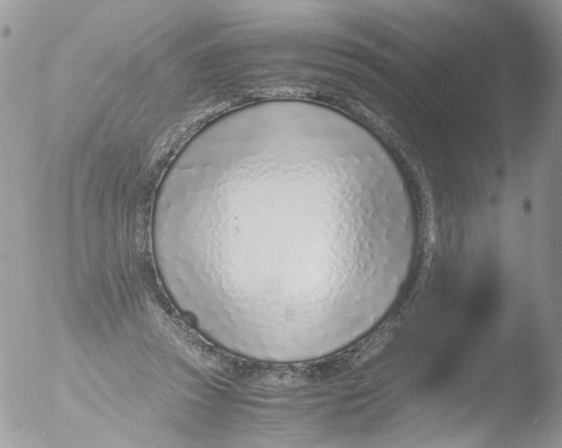 X0000051250353200507152155