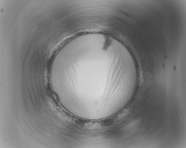 X0000051250354200507152155