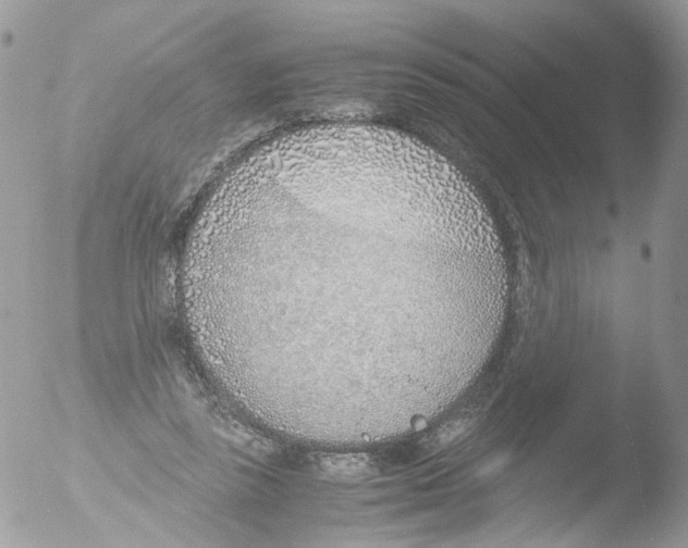 X0000051250355200507152155