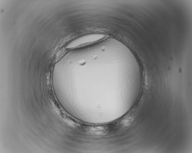 X0000051250357200507152155