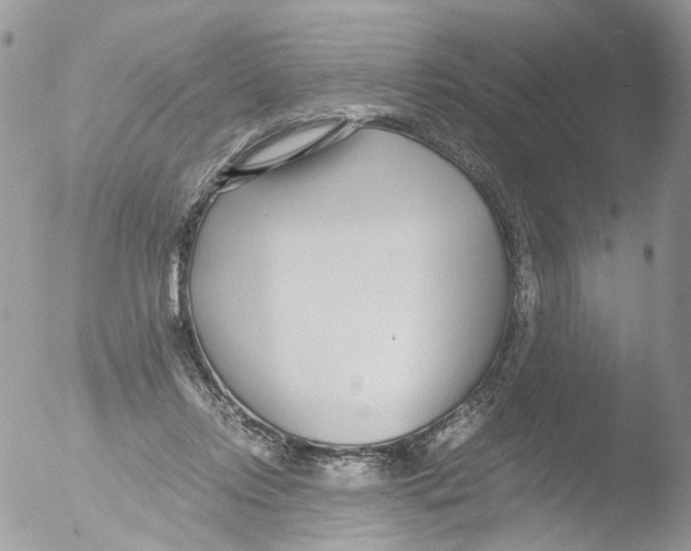 X0000051250358200507152155