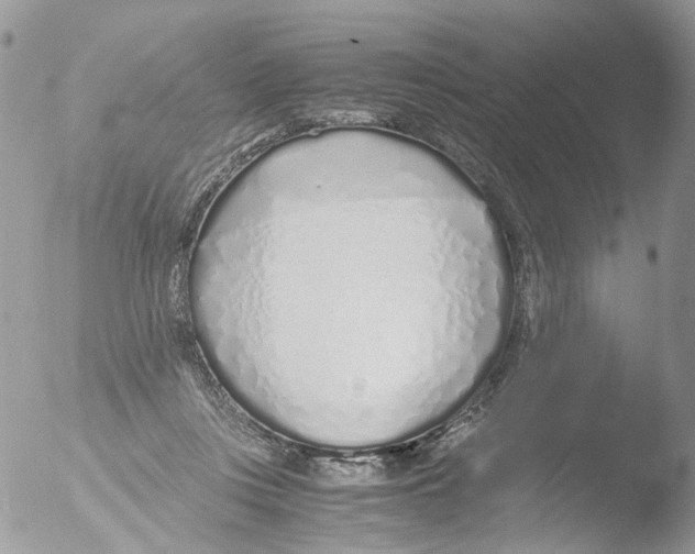 X0000051250359200507152155