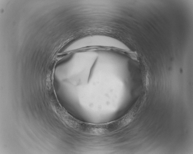 X0000051250360200507152155