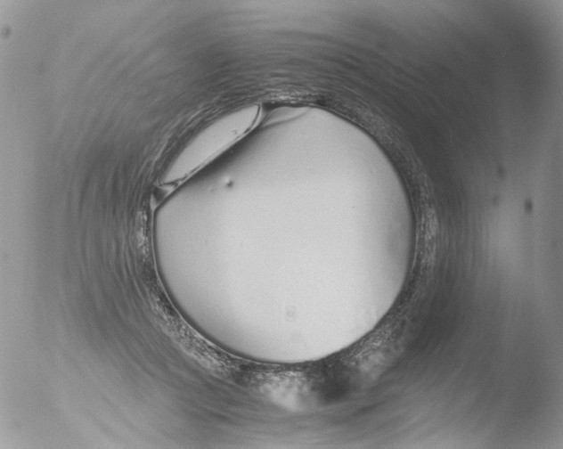 X0000051250361200507152155