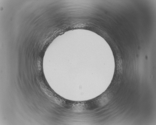 X0000051250362200507152155