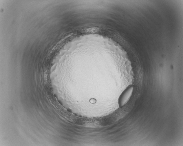 X0000051250363200507152155