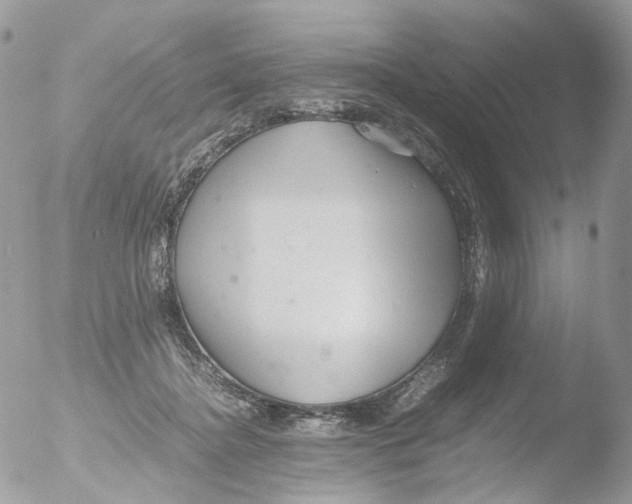 X0000051250364200507152155