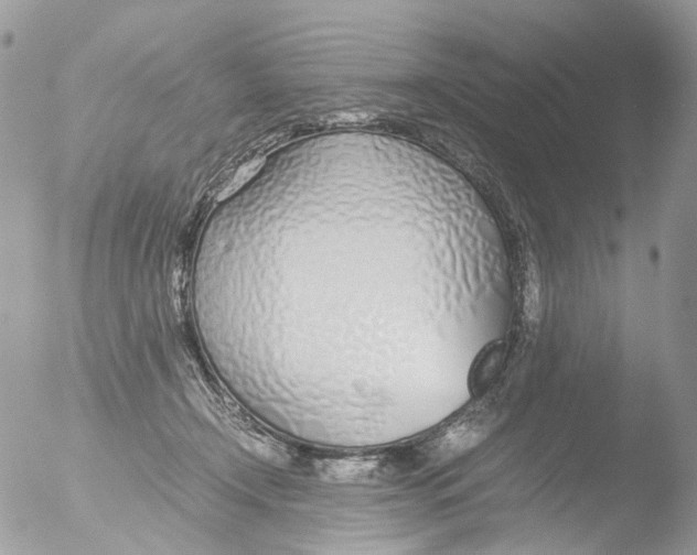 X0000051250366200507152155