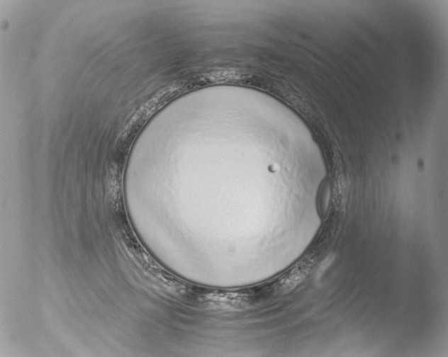 X0000051250367200507152155