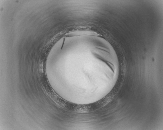 X0000051250368200507152155