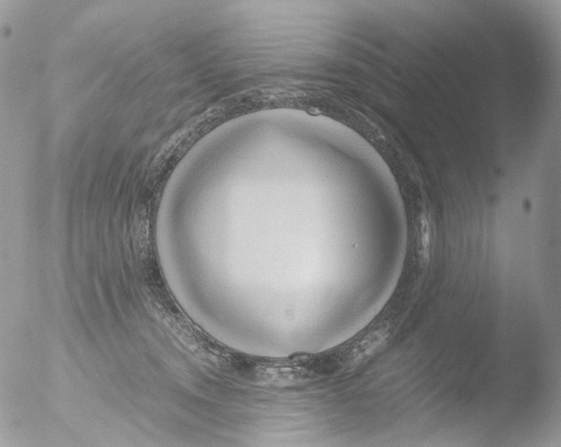 X0000051250372200507152156