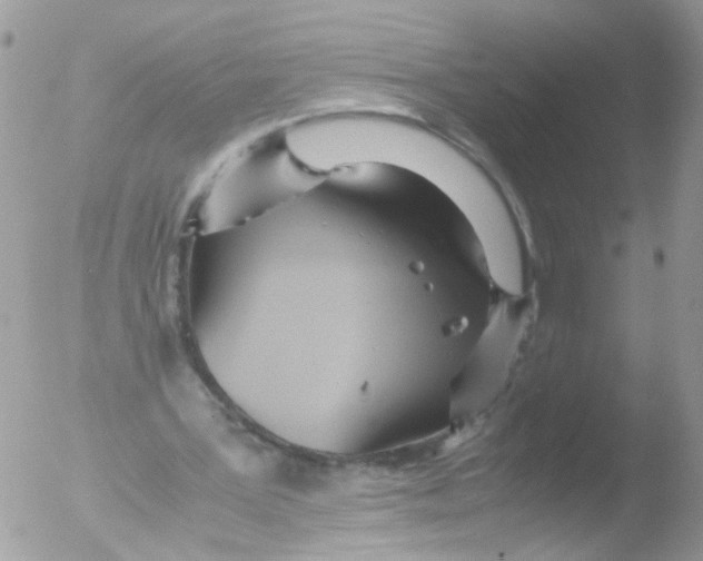 X0000051250387200507152155