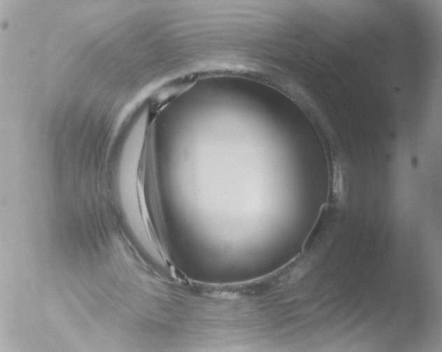 X0000051250388200507152155