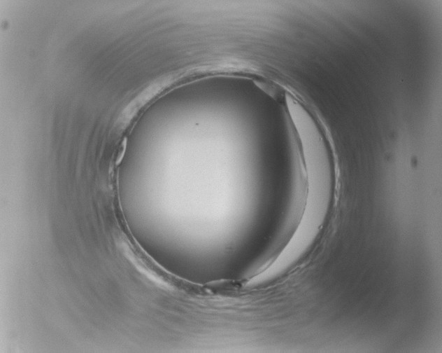 X0000051250389200507152155