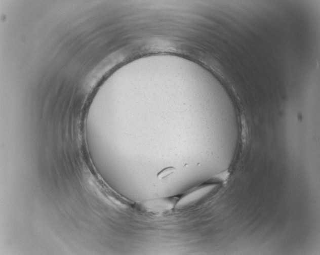 X0000051250390200507152155