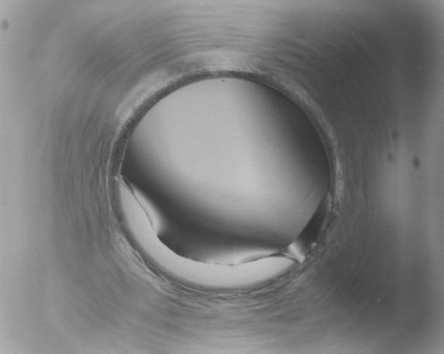 X0000051250391200507152155