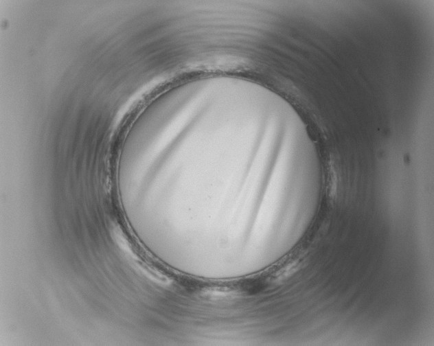 X0000051250392200507152155